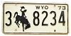 1973 Wyoming License Plate #38234