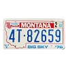 1991 Montana Truck License Plate #4T82659