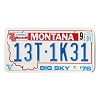 1991 Montana Truck License Plate #13T1K31