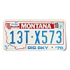 1991 Montana Truck License Plate #13TX573