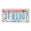 1991 Montana Truck License Plate #3TB1007