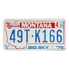 1991 Montana Truck License Plate #49TK166