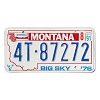 1991 Montana Truck License Plate #4T87272