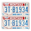 1991 Montana Truck License Plates Pair #3TB1934