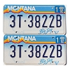 1992 Montana Truck License Plates Pair #3T3822B