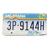 1993 Montana License Plate #3P9144H