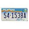 1993 Montana License Plate #541538A