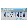 1993 Montana Trailer License Plate #4TR3140A