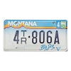1993 Montana Trailer License Plate #4TR806A