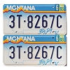 1993 Montana Truck License Plates Pair #3T8267C
