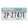 1994 Montana License Plate #2P2747E
