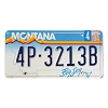 1994 Montana License Plate #4P3213B