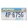 1994 Montana License Plate #4P675G