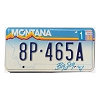 1994 Montana License Plate #8P465A