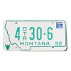 1994 Montana Trailer Dealer License Plate #4DTR306