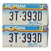 1996 Montana Truck License Plates Pair #3T393D