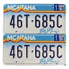 1996 Montana Truck License Plates Pair #46T685C