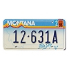 1998 Montana License Plate #12631A