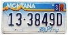 1998 Montana License Plate #133849D