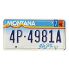 1998 Montana License Plate #4P4981A