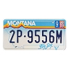 1999 Montana License Plate #2P9556M