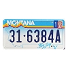 1999 Montana License Plate #316384A