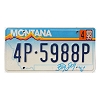 1999 Montana License Plate #4P5988P