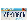 1999 Montana License Plate #4P9060N