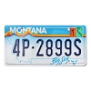 2000 Montana License Plate #4P2899S