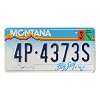 2000 Montana License Plate #4P4373S
