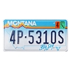 2000 Montana License Plate #4P5310S