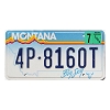 2000 Montana License Plate #4P8160T