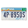 2000 Montana License Plate #4P8950S