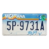 2000 Montana License Plate #5P9731A