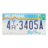 2000 Montana Trailer License Plate #4TR3405A
