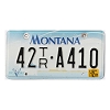 2001 Montana Trailer License Plate #42TRA410