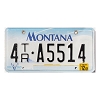 2001 Montana Trailer License Plate #4TRA5514