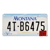 2001 Montana Truck License Plate #4TB6475