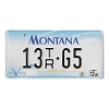 2002 Montana Trailer License Plate #13TRG5