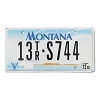 2002 Montana Trailer License Plate #13TRS744