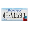 2004 Montana Trailer License Plate #4TRA21590