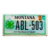 2006 Montana 4H License Plate #ABL503