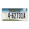 2013 Montana License Plate #462731A