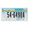 2016 Montana License Plate #546490A