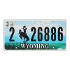 2016 Wyoming License Plate #226886