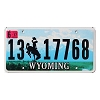 2017 Wyoming License Plate #1317768