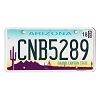 2018 Arizona License Plate #CNB5289