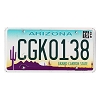 2019 Arizona License Plate #CGK0138