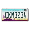 2019 Arizona License Plate #CKM3234