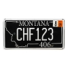 2020 Montana 406 License Plate #CHF123